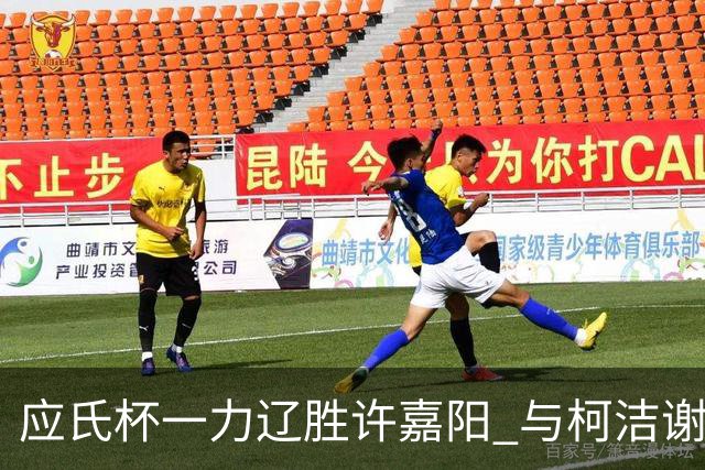 应氏杯一力辽胜许嘉阳 与柯洁谢科许皓鋐进4强